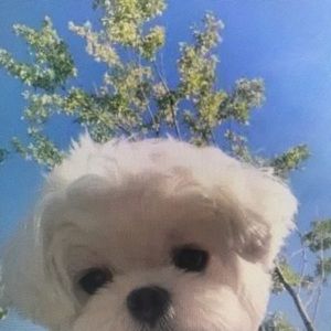 Meet your Posher, Kara